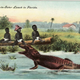 Postal Card & Novelty Co., eBay